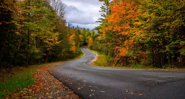 Осенняя дорога в лесу