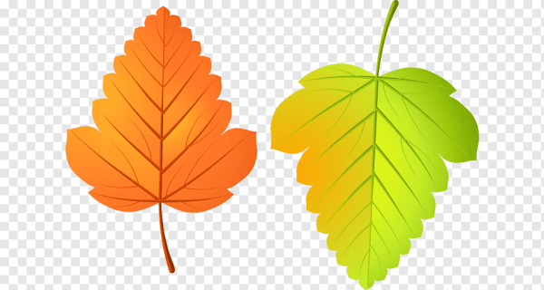 Осенние листики для детей