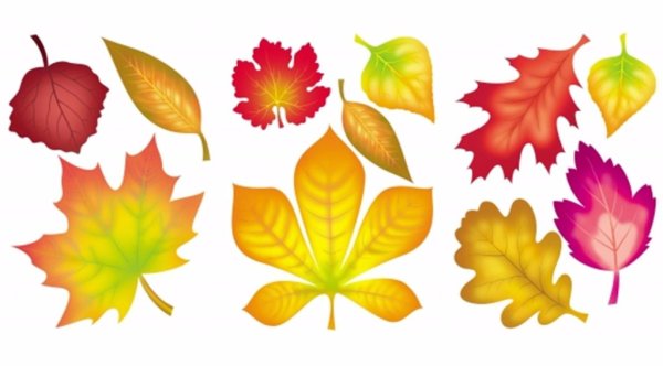 Осенние листочки для вырезания