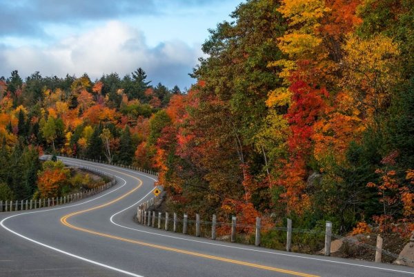 Осень лес дорога