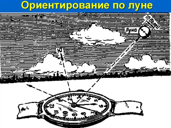 ОРИЕНТИРОВАНИЕПО лкне