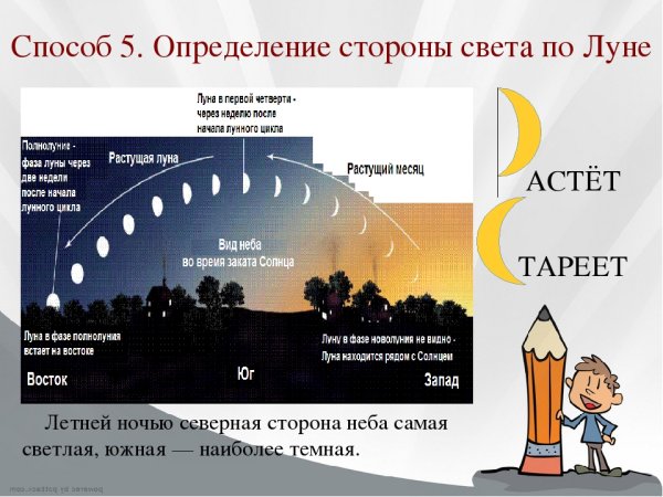 Определение сторон света