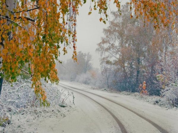 Осень снег