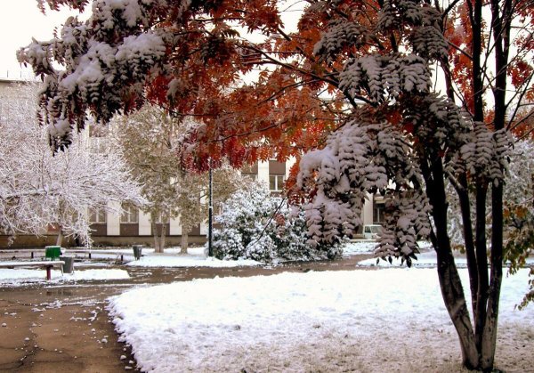 Ранняя зима в городе