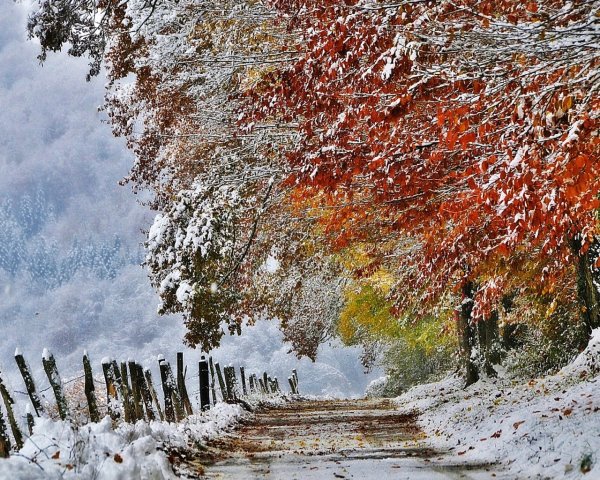 Снежная осень