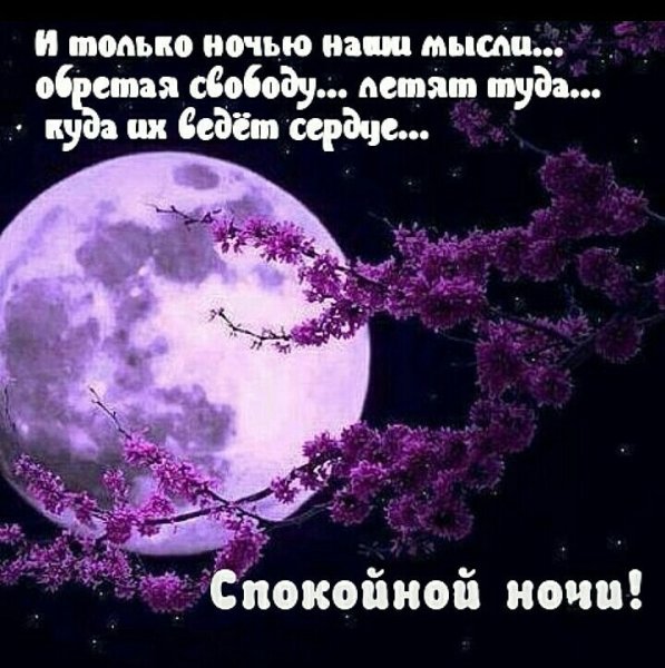 Спокойной ночи цитаты
