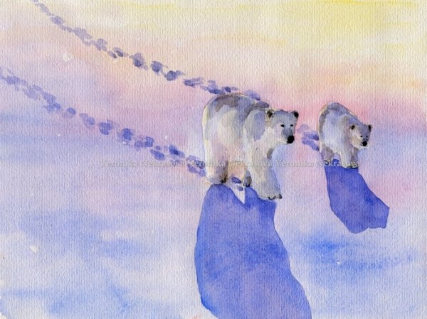 Медвежонок Умка акварель