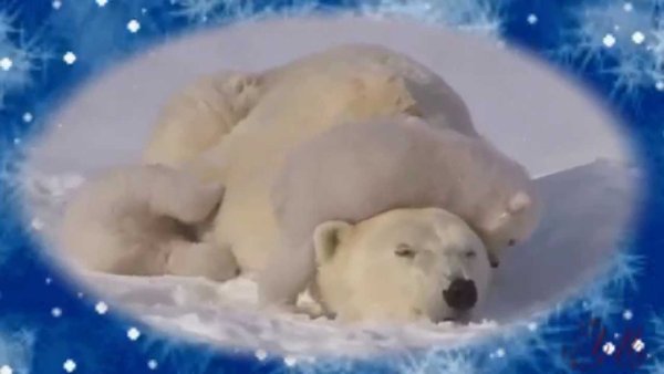 Спокойной ночи Умка