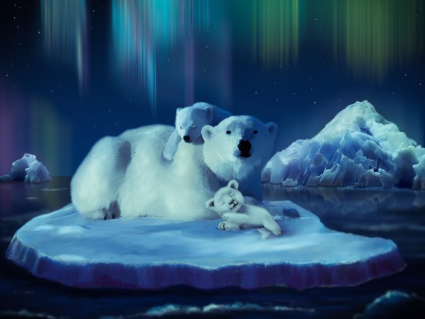 Белый медведь Умка мультфильм