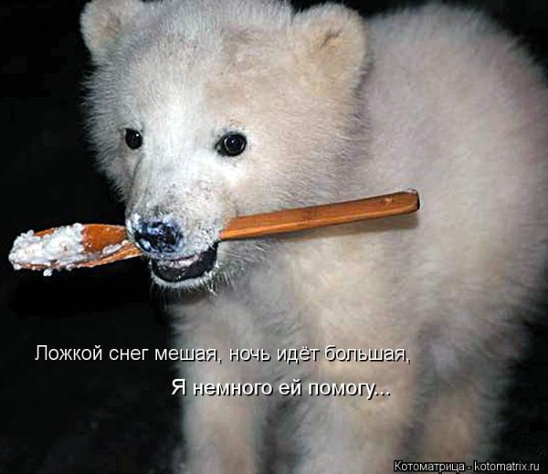 Ложкой снег