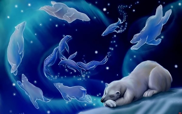 Всемирный день сна 2019