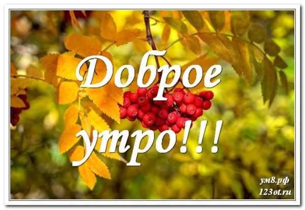 Доброе осеннее утро для вотцапа