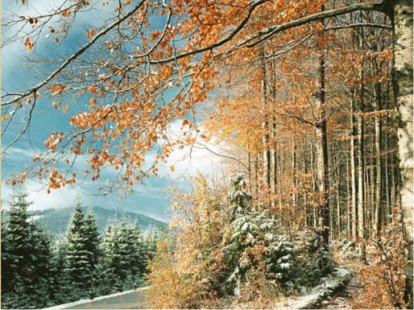 Поздняя осень анимация