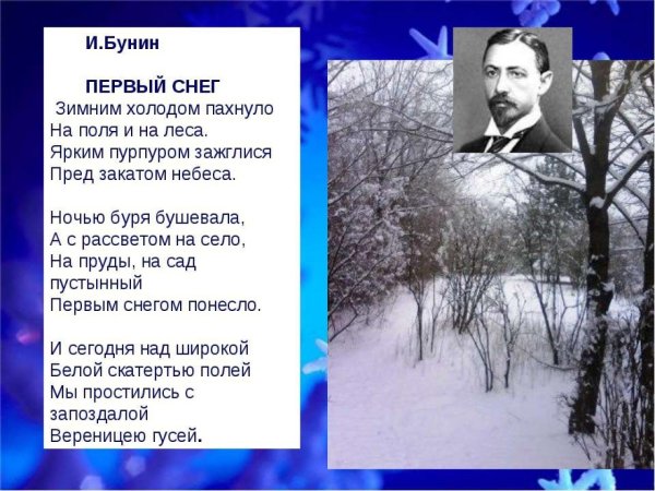 Бунин Иван Алексеевич зимним холодом
