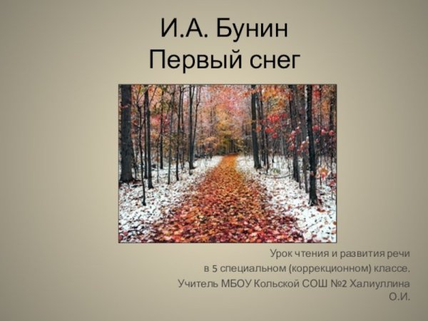 Иван Бунин 1 снег