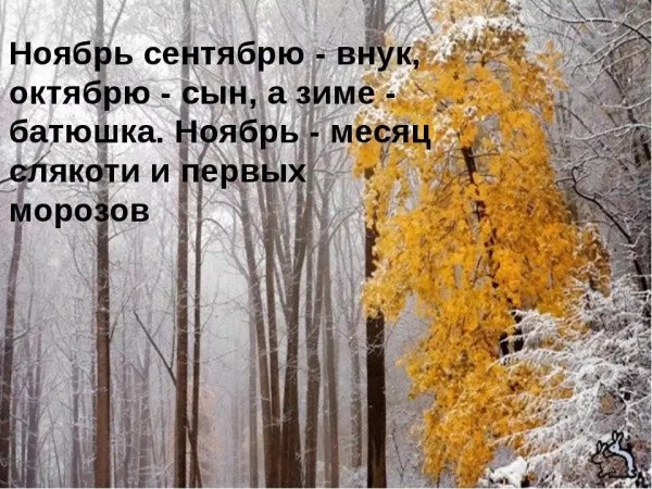 Осенние/зимние стихи