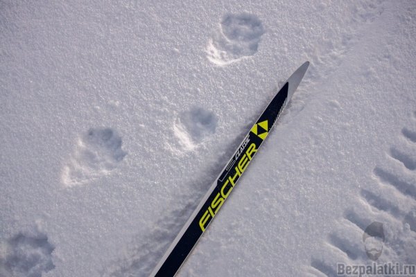 Следы Расамахина снегу