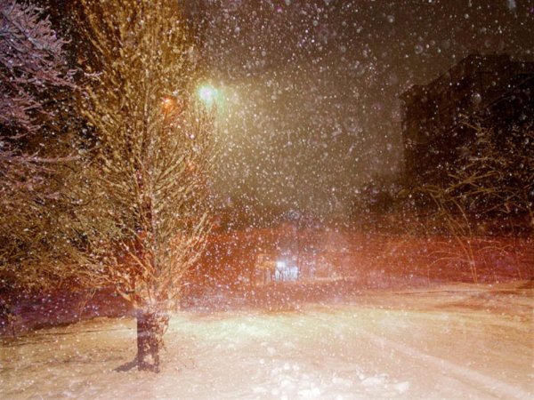 Метель вечером