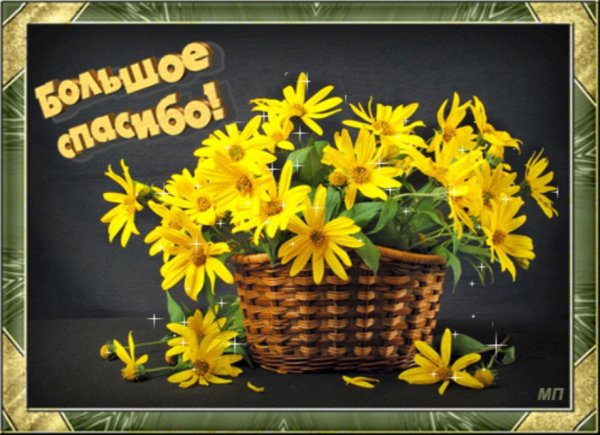 Спасибо с осенними цветами