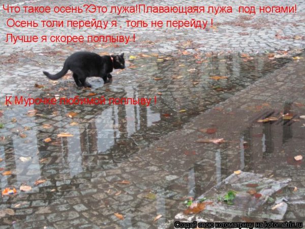 Толи осень толи зима