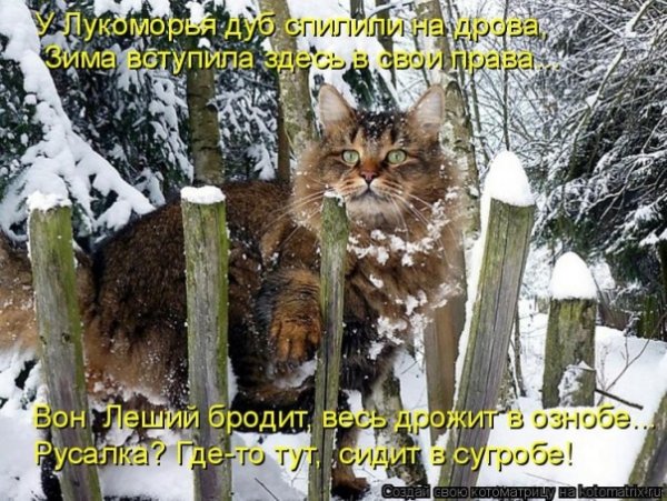 Толи дождь толи снег