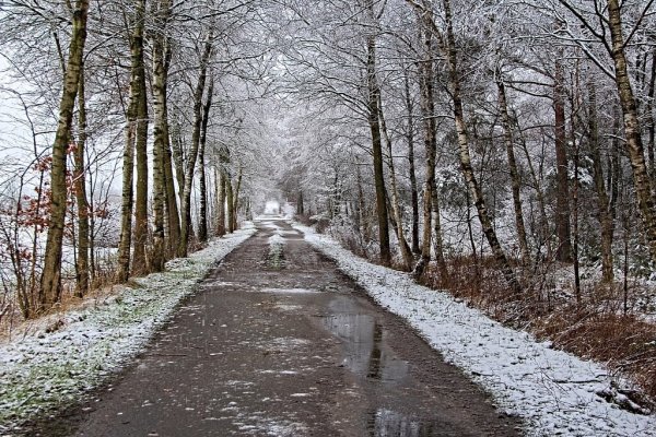 Март мокрый снег природа