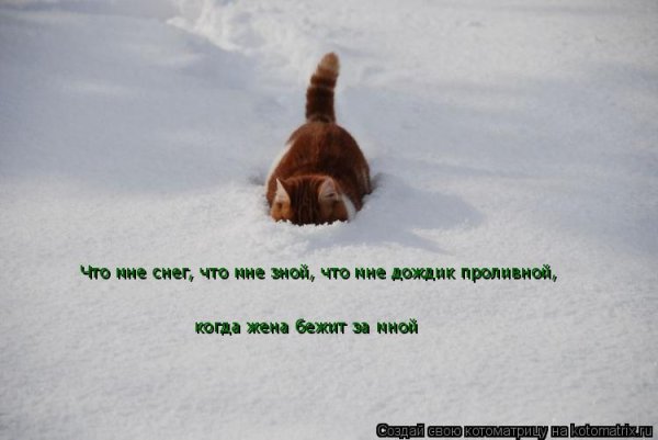 Что мне снег что мне зной что мне дождик проливной