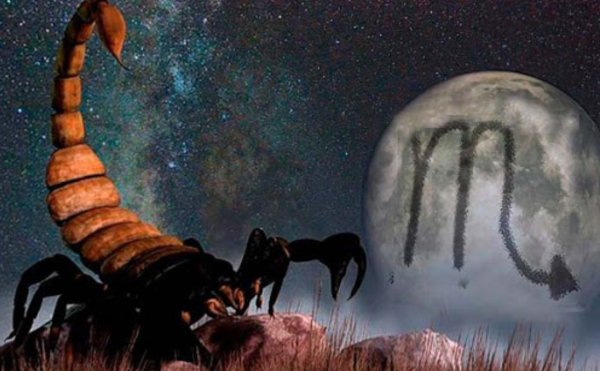 Луна в Скорпионе