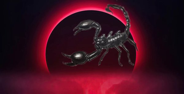 Кровавый Скорпион