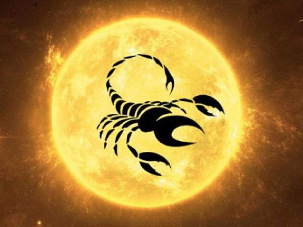 И Скорпион на солнышке