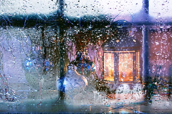 Дождливая зима