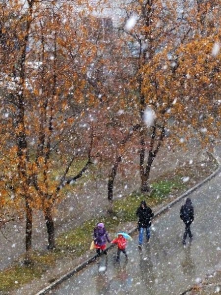 Осенний дождь со снегом