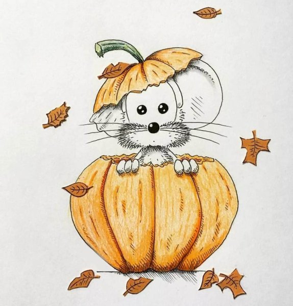 Картинки тыквы для срисовки