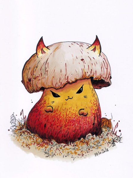 Рисунок Сатинский гриб