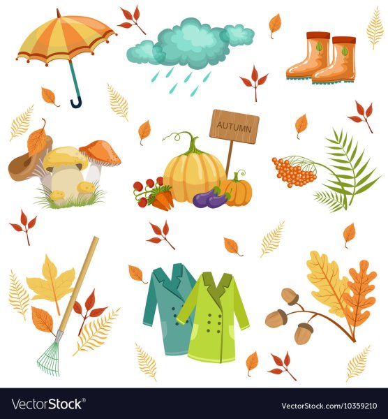 Осенние предметы