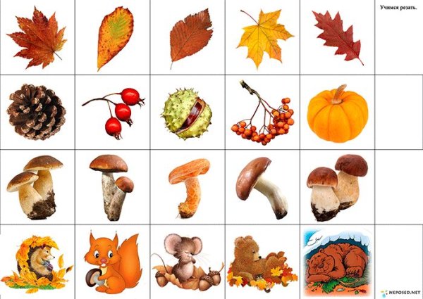 Тематическое занятие осень