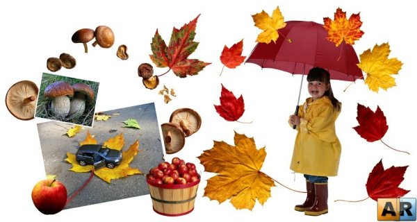 Предметы осени для дошкольников