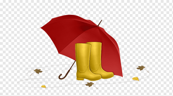 Зонтик и сапожки