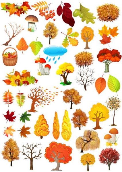 Осенние предметы