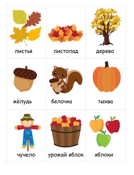Осень карточки для детей