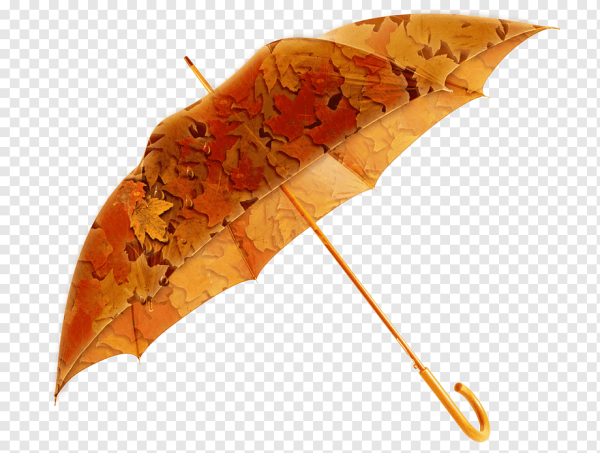 Осенний зонтик