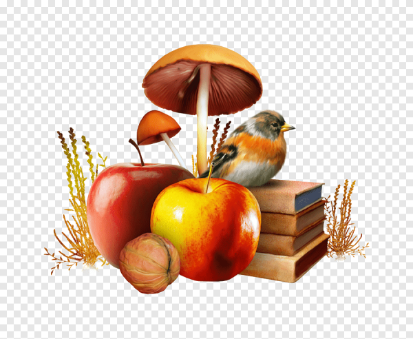 Осенние предметы