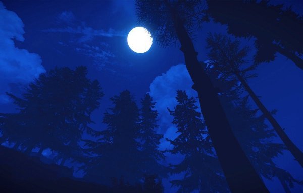 Ночь Луна