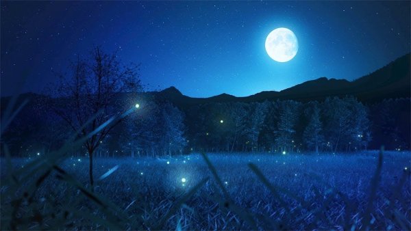Поле ночью арт