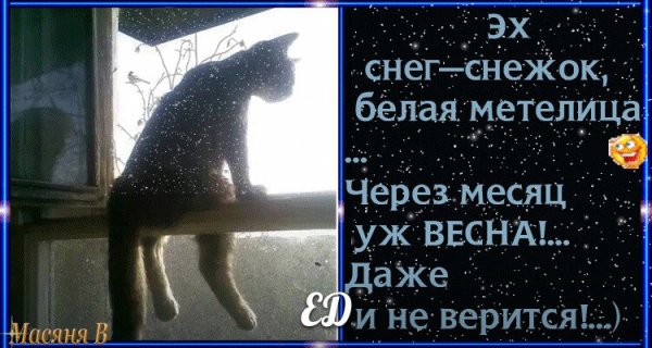 Снег снежок белая