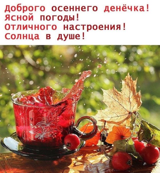 Доброе дождливое осеннее утро