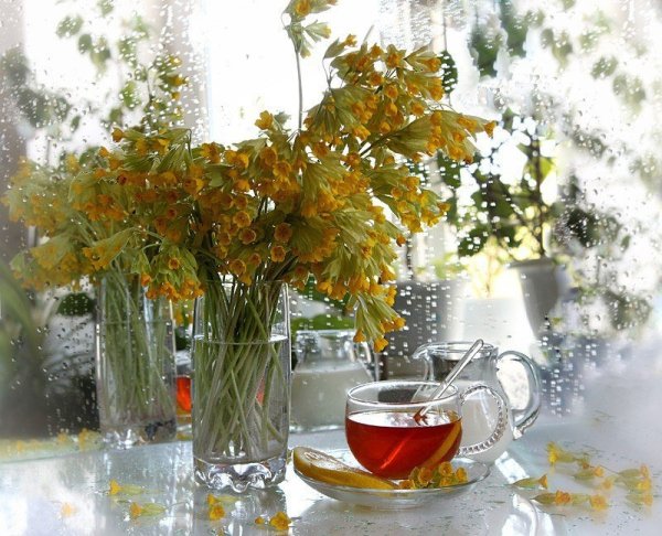 Дождливое утро осени