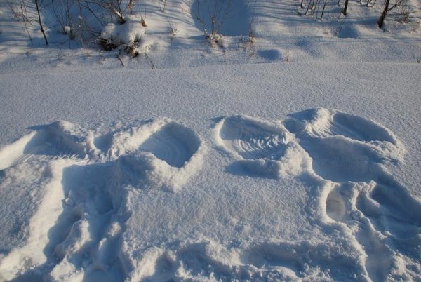След ангела на снегу