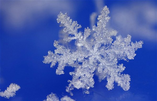 Снег снежинки