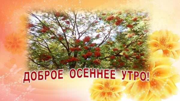 Доброе утро осень природа с надписью
